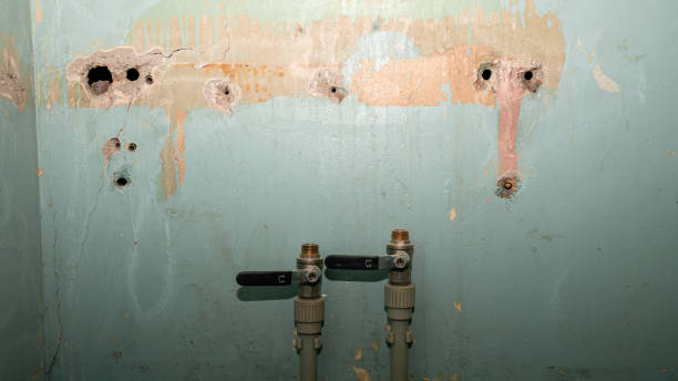 Water damage restoration mold remediation in Hidden Springs, ID